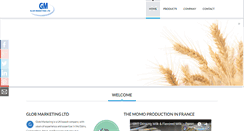 Desktop Screenshot of globmarketing.com